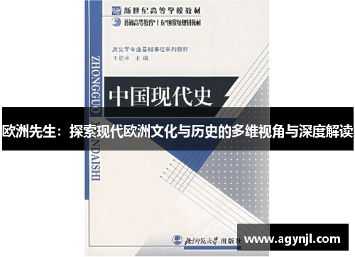 欧洲先生:探索现代欧洲文化与历史的多维视角与深度解读 欧洲先生:探索现代欧洲文化与历史的多维视角与深度解读