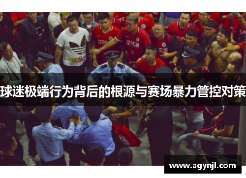 球迷极端行为背后的根源与赛场暴力管控对策