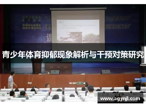 青少年体育抑郁现象解析与干预对策研究