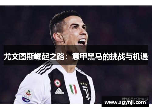 尤文图斯崛起之路：意甲黑马的挑战与机遇