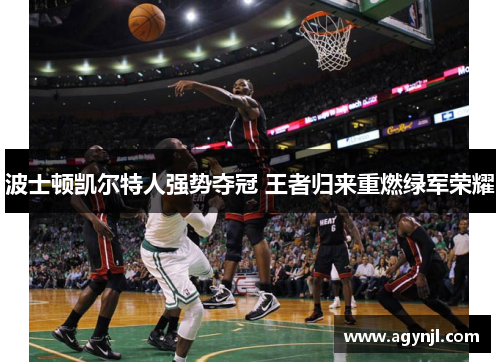 波士顿凯尔特人强势夺冠 王者归来重燃绿军荣耀