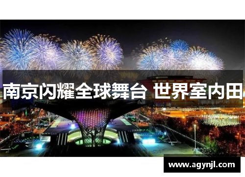 南京闪耀全球舞台 世界室内田 南京闪耀全球舞台 世界室内田
