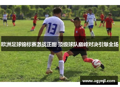 欧洲足球锦标赛激战正酣 顶级球队巅峰对决引爆全场 欧洲足球锦标赛激战正酣 顶级球队巅峰对决引爆全场