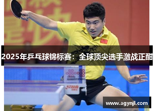 2025年乒乓球锦标赛:全球顶尖选手激战正酣 2025年乒乓球锦标赛:全球顶尖选手激战正酣