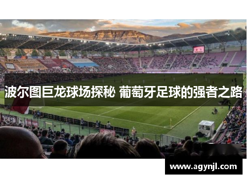 波尔图巨龙球场探秘 葡萄牙足球的强者之路